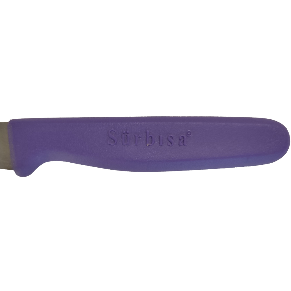 Surbisa 61004 Fruit and Vegetable Knife - 20.5 cm